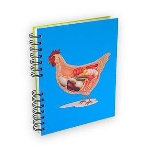 Cuadernos Libretas Gallina 200 Pag -tiendas Innova Nueva