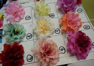 Flores, Material Para Cintillo