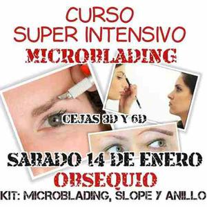 Curso Microblading Cejas 3d, 6d, Pelo A Pelo + Obsequio Kit