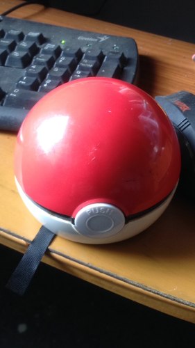 Pokemon Poke Ball Tiger Nintendonintedo