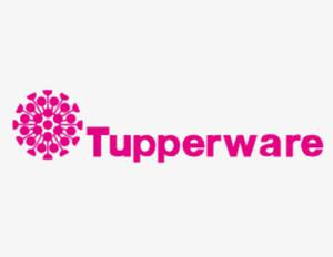 Tupperware Venta Al Mayor Lote De 10 Practiempanas