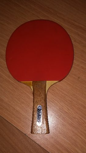 Raqueta De Ping Pong Con Estuche Y Pelota