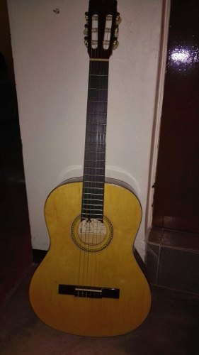 Guitarra Marca Palmer Original Nueva