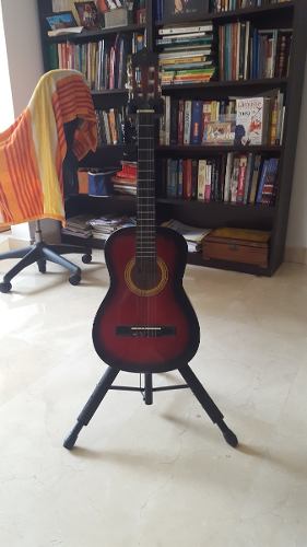 Guitarra Palmer Pequeña