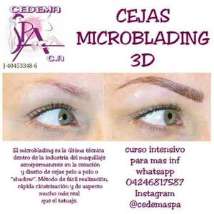 Curso De Cejas Microblading Y Micropigmentacion