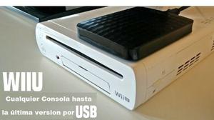 Chip Virtual Wii U - Usb - Nuevo