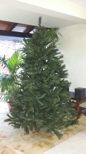 Árbol De Navidad