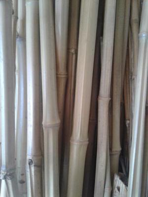 Bambu Para Decoración, Manualidades, Bisuteria X 10