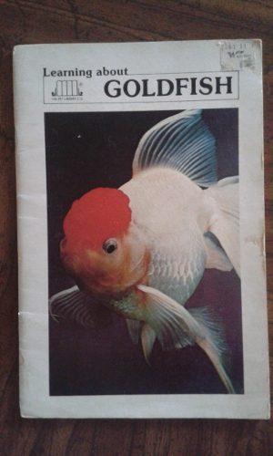 Aprendiendo Sobre El Goldfish