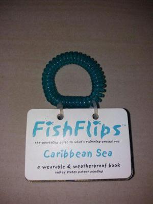 Fishflips Peces Mar Caribe Identificacion De Especies.