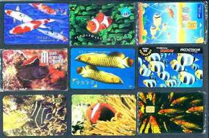 Ji Tarjetas Telefónicas Peces Mundiales Set De 9 Diferentes