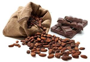 Kit Proyecto Procesamiento Cacao Elaboración Chocolate Orig