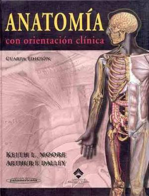 Libro De Anatomía De Moore 4ta Edicion Usado