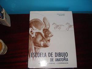 Escuela De Dibujo De Anatomía: Humana, Animal, Comparada