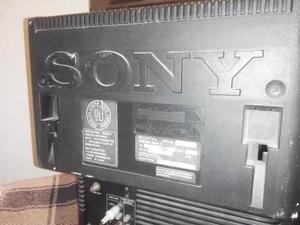 Tv Sony Con Antena 21 Pulgadas