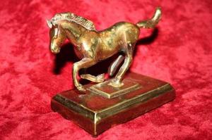 Escultura Caballo Mustang Animal Bronce
