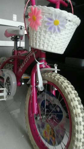 Bicicleta De Princesa