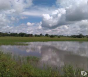 Finca de  has ubicada en Cojedes