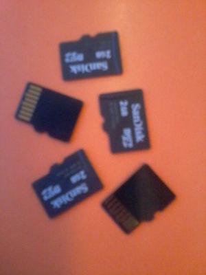 Microsd Scandisk De 2 Gb