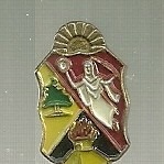 Insignia Escudo Miniatura Del Estado Aragua
