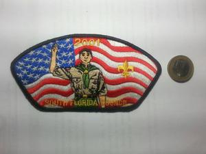 Insignias Scouts De Coleccion De Florida Usa