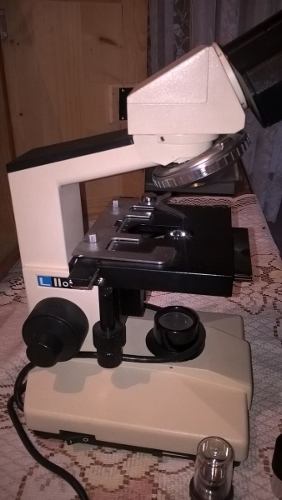 Microscopio Globe 100x