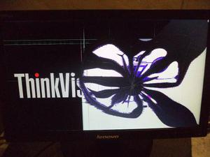 Monitor Lenovo Led Thinkvision E'' Pantalla Partida