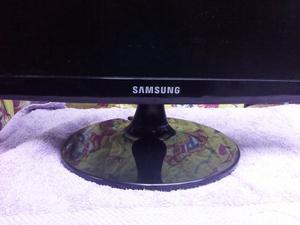 Monitor Samsung S19a 10n