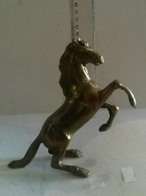 Caballo En Bronce