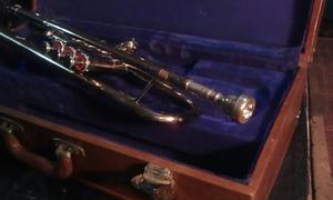 Lrbl. Trompeta Made In China Usada
