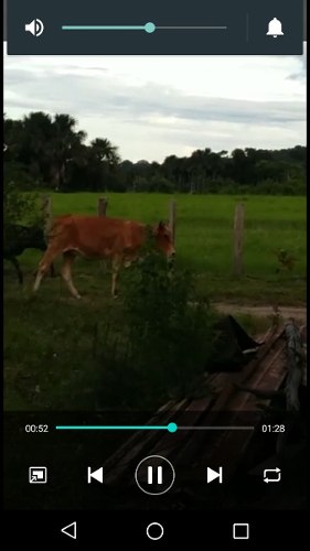 Ganado Vacas