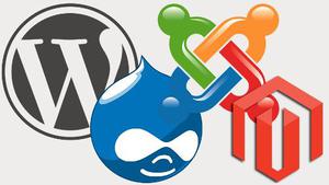 Hosting Web + Dominio + Wordpress + Joomla + Web + Plantilla