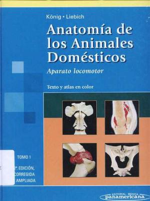 Anatomia De Los Animales Domesticos Tomo 1 En Formato Pdf