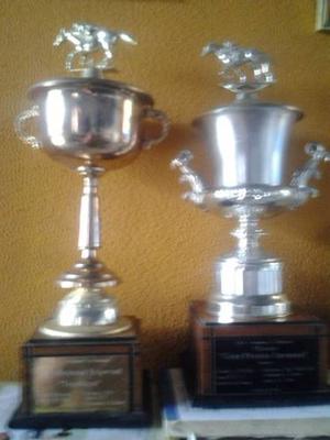 Trofeos Hipicos Genuinos