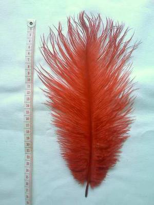 Plumas De Avestruz Naturales Rojas 20 Cm Aprox. Por Unid