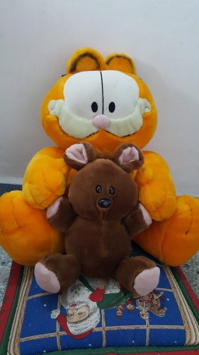 Peluche Garfield Grande Con Teddy.