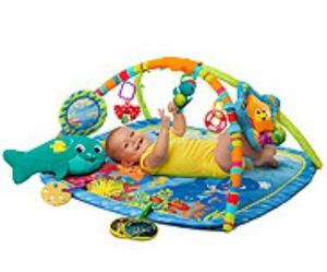 Baby Einstein Gimnasio (casi Nuevo)