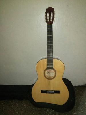 Guitarra Acústica Palmer