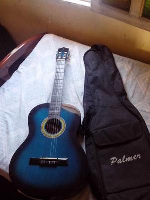 Guitarra Acústica Palmer