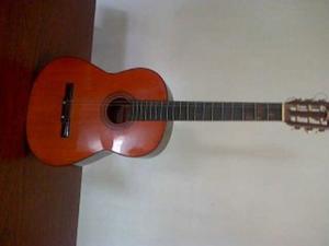Guitarra Acustica Hohner Hg5