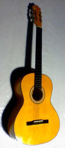 Guitarra Acustica Para Reparar