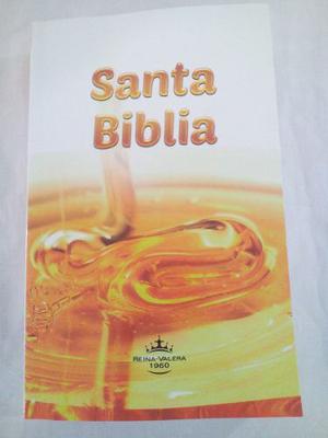 Santa Biblia Reina Valera  Con Referencia Mayor Y Detal