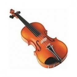 Violin 3/4 Y 4/4