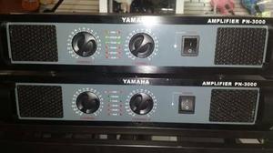 Power Amplificador Yamaha Pn- Profesional wtts.