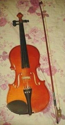 Violin Giussepi 4/4 (negociable)