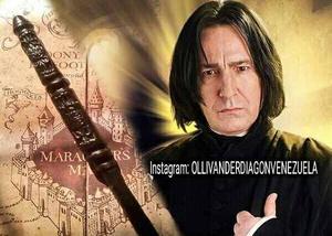 Harry Potter Varitas De Severus Snape