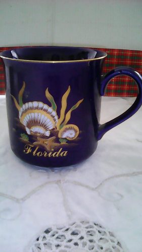 Mug Florida