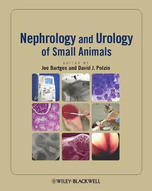 Nefrologia Y Urologia De Pequeños Animales En Formato Pdf