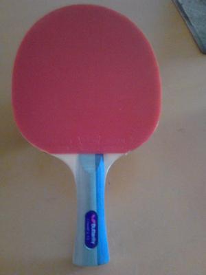 Raqueta Tenis De Mesa Profesional