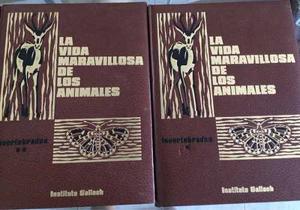 Enciclopedia Animal